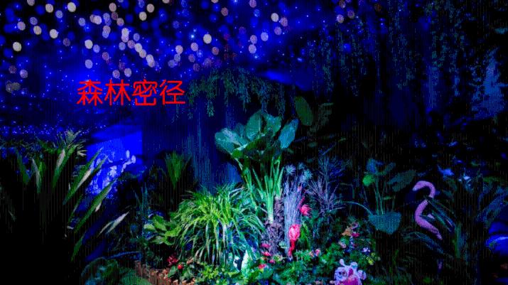 探索m=ρv是什么公式?的知识星球平台